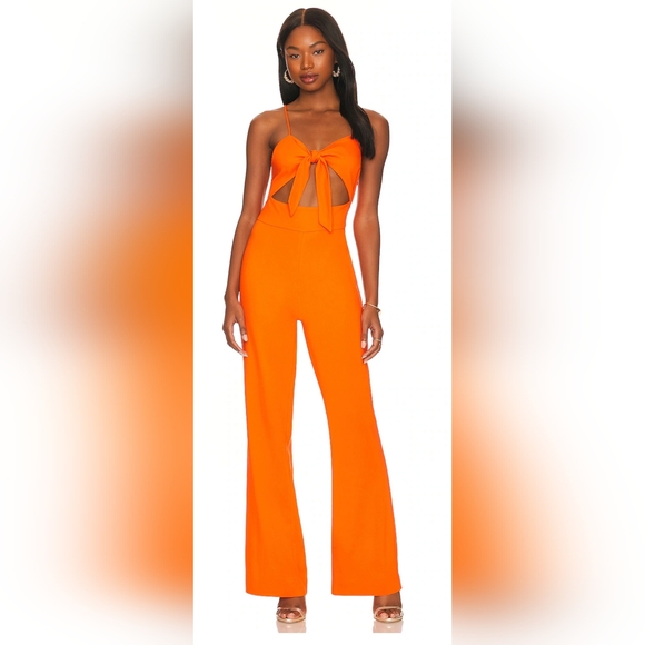 LITA by Ciara Tie Front Jumpsuit **Sold Out in Most Stores** - Picture 1 of 3